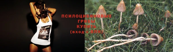 трава Алексеевка