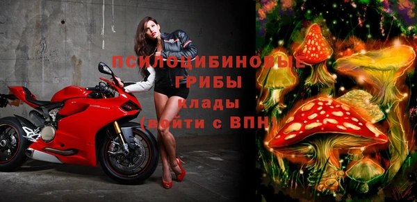 твердый Аша