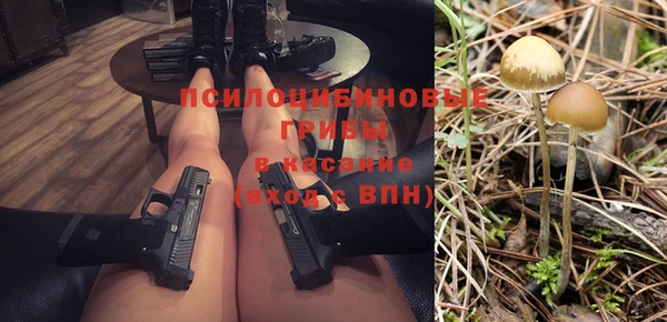 ПСИЛОЦИБИНОВЫЕ ГРИБЫ Алексин