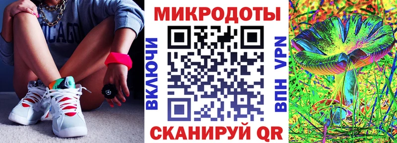 Псилоцибиновые грибы Psilocybine cubensis  Венёв 